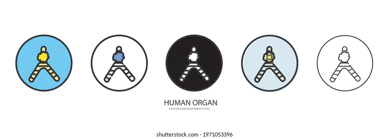 Human organ vector type icon