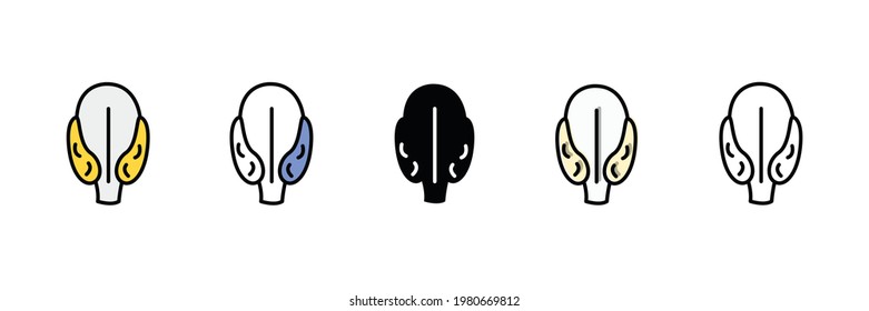 human organ vector type icon