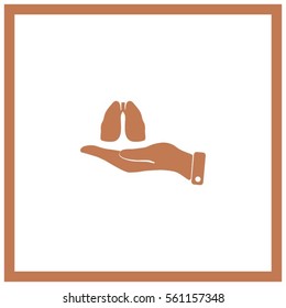 human organ-light