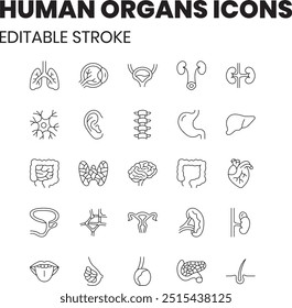 Órganos humanos - 25 iconos vectoriales