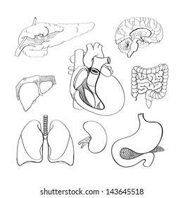 Human organs