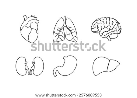 Human organs anatomy, organs icon illustrations