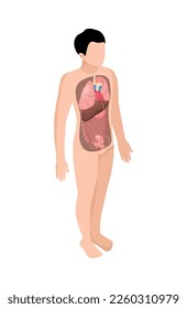 Human organs anatomy isometric composition with isolated view of internal body part vector illustration