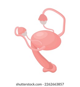 Human organs anatomy isometric composition with isolated view of internal body part vector illustration