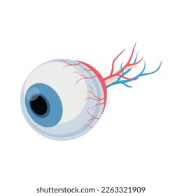 Anatomische isometrische Zusammensetzung menschlicher Organe mit isolierter Ansicht des inneren Körpers Vektorgrafik