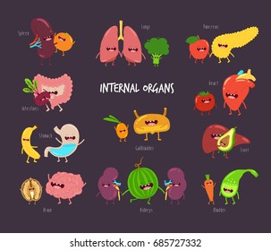 Human organs, avocado, carrot, banana, fruits, tomato, human heart, human lungs, kidneys, liver, brains, stomach, intestines, healthy and sick internal organs set. Funny illustration art. 