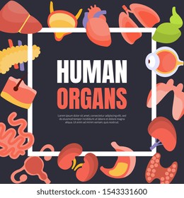 Human Organs Banner Template with Space for Text and Internal Organs, Healthcare and Medical Vector Illustration