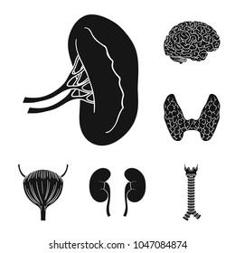 Human organs black icons in set collection for design. Anatomy and internal organs vector symbol stock web illustration.