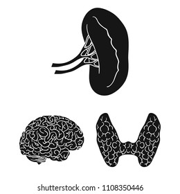 Human organs black icons in set collection for design. Anatomy and internal organs vector symbol stock web illustration.