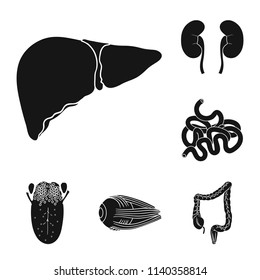 Human organs black icons in set collection for design. Anatomy and internal organs vector symbol stock web illustration.