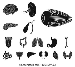 Human organs black icons in set collection for design. Anatomy and internal organs vector symbol stock web illustration.