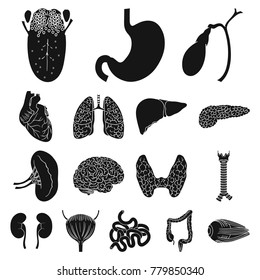 Human organs black icons in set collection for design. Anatomy and internal organs vector symbol stock web illustration.
