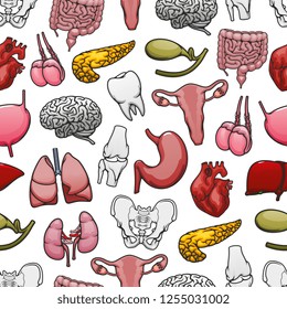 Human organs, bones and joints seamless pattern background. Heart, brain and lungs, kidney, liver and intestines, pelvis, knee and tooth, uterus, testicles and pancreas. Medical anatomy vector design