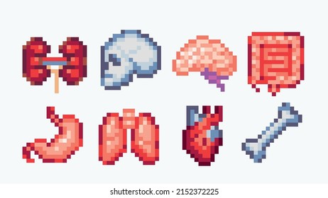 Human organs and bones pixel art set. Anatomical system collection. 8 bit sprite. Game development, mobile app.  Isolated vector illustration.