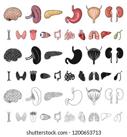 Human organs cartoon icons in set collection for design. Anatomy and internal organs vector symbol stock web illustration.