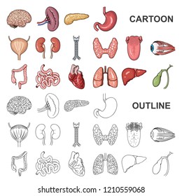 Human organs cartoon icons in set collection for design. Anatomy and internal organs vector symbol stock web illustration.