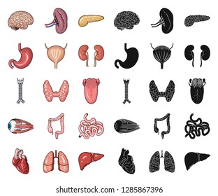 Human organs cartoon,black icons in set collection for design. Anatomy and internal organs vector symbol stock web illustration.