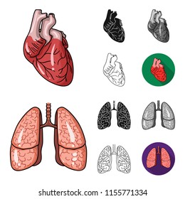 Human organs cartoon,black,flat,monochrome,outline icons in set collection for design. Anatomy and internal organs vector symbol stock web illustration.