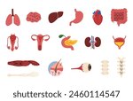 Human Organs collection 2 cute on a white background, vector illustration.