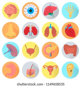 Human organs color vector icons. Flat design