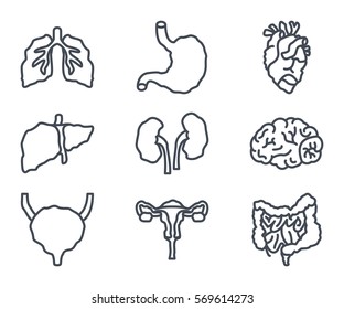 human organs disease line icon