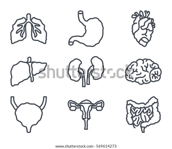 Human Organs Disease Line Icon Stock Vector (Royalty Free) 569614273 ...