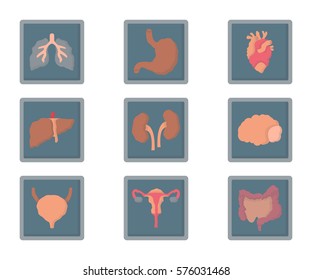 human organs disease x-ray flat icon