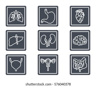 human organs disease x-ray silhouette icon