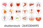 Human organs educational sticker set. Cartoon lung, brain, heart kidneys, liver stomach, reproductive system female male skin hair tooth eye body elements collection. Vector flat illustration icon set