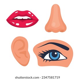 Human organs and face parts, collection set, lips, nose, eye, ear. Set of cartoon sensory organs. Vector illustration flat design. Isolated on white background.