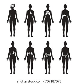 Human organs female silhouette vector icon set, brain, heart, lungs, liver, stomach, kidney, intestine, reproductive system