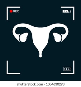 Human organs. Female uterus icon