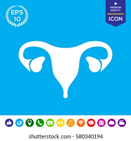 Human organs. Female uterus silhouette symbol