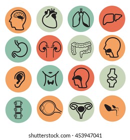 Human organs  flat color icons 1
