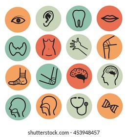 Human organs  flat color icons 2