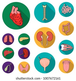 Human organs flat icons in set collection for design. Anatomy and internal organs vector symbol stock web illustration.
