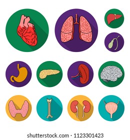 Human organs flat icons in set collection for design. Anatomy and internal organs vector symbol stock web illustration.