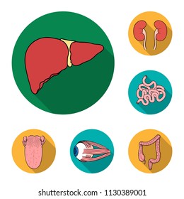 Human organs flat icons in set collection for design. Anatomy and internal organs vector symbol stock web illustration.