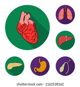 Human organs flat icons in set collection for design. Anatomy and internal organs vector symbol stock web illustration.