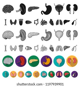 Human organs flat icons in set collection for design. Anatomy and internal organs vector symbol stock web illustration.