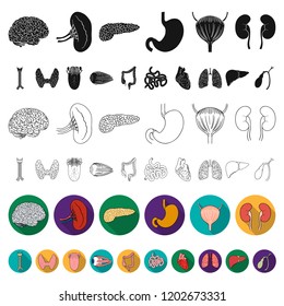 Human organs flat icons in set collection for design. Anatomy and internal organs vector symbol stock web illustration.