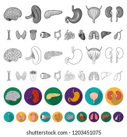 Human organs flat icons in set collection for design. Anatomy and internal organs vector symbol stock web illustration.