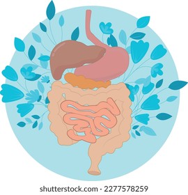 Órganos humanos con patrón de flores sobre fondo azul en ilustración vector circular
