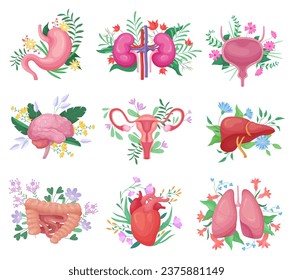 Órganos humanos con flores ponen la ilustración vectorial. Caricatura aislada colección de anatomía con decoración floral, flores y estómago sano corazón riñón hígado vientre vejiga pulmones intestinos cerebro