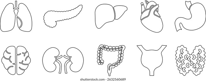 Handgezeichnete Linie Icon Set Organs Vektor für Apps, Webzeichen Symbol Herz, Leber, Magen, Niere, Harn, Augapfel, Lunge, Neuronenpiktogramm für die menschliche Anatomie