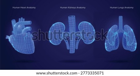 Human Organs Healthcare Technology, Organs Wireframe with Advanced 3D Technology, Organ Care Concept