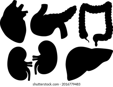 Human organs heart, kidney, stomach, pancreas, intestines in a set. Vector image.