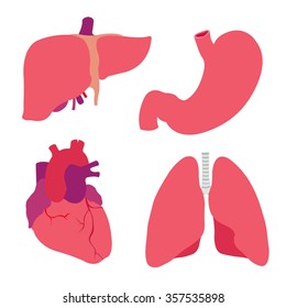 human organs. heart, liver, stomach, lungs. vector illustration