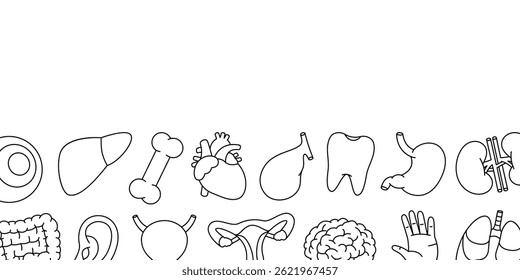 Human organs horizontal banner. Internal organs anatomy. Heart, kidneys, gallbladder, intestines, tooth, brain, eye, hand, nose, bone, ear, bladder.