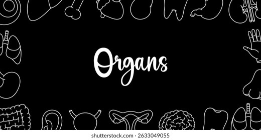 Human organs horizontal banner. Internal organs anatomy. Heart, kidneys, gallbladder, tooth, brain, eye, hand, nose, bone, ear, bladder.